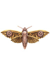 Anne Stokes Magradores Moth Brooch Steampunk Engineerium | Angel Clothing