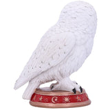 Wizard's Familiar Owl Figurine | Angel Clothing