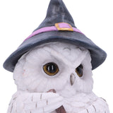 Owl Potion | Angel Clothing