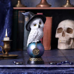 Owl's Talisman | Angel Clothing