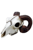 Alchemy Rams Skull Miniture | Angel Clothing