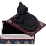 Salems Spells Cat Box | Angel Clothing