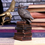 Spellcraft Wizard Owl | Angel Clothing