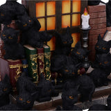 The Witches Litter Set of 12 Cats | Angel Clothing