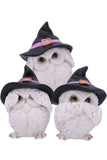 Three Wise Feathered Familiars Owls | Angel Clothing