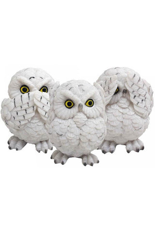 Three Wise Owls | Angel Clothing