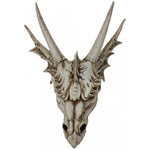 The Last Dragon Skull 32cm | Angel Clothing