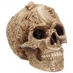 Cranial Drakos Skull 19.5cm | Angel Clothing