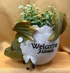 Welcome Friends Baby Dragon Pot | Angel Clothing